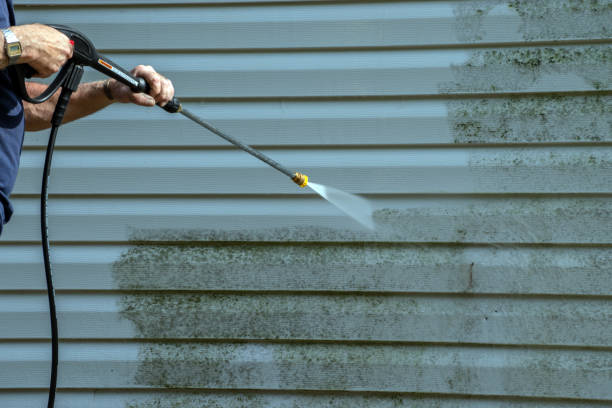 Best Sidewalk Pressure Washing  in Jackson, WI