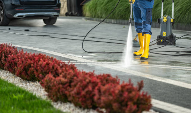 Best Local Pressure Washing Services  in Jackson, WI